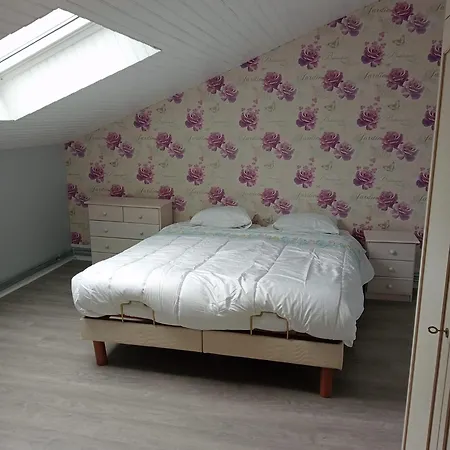 Coriandre La Tisanerie 1 Et Lits D Appoint